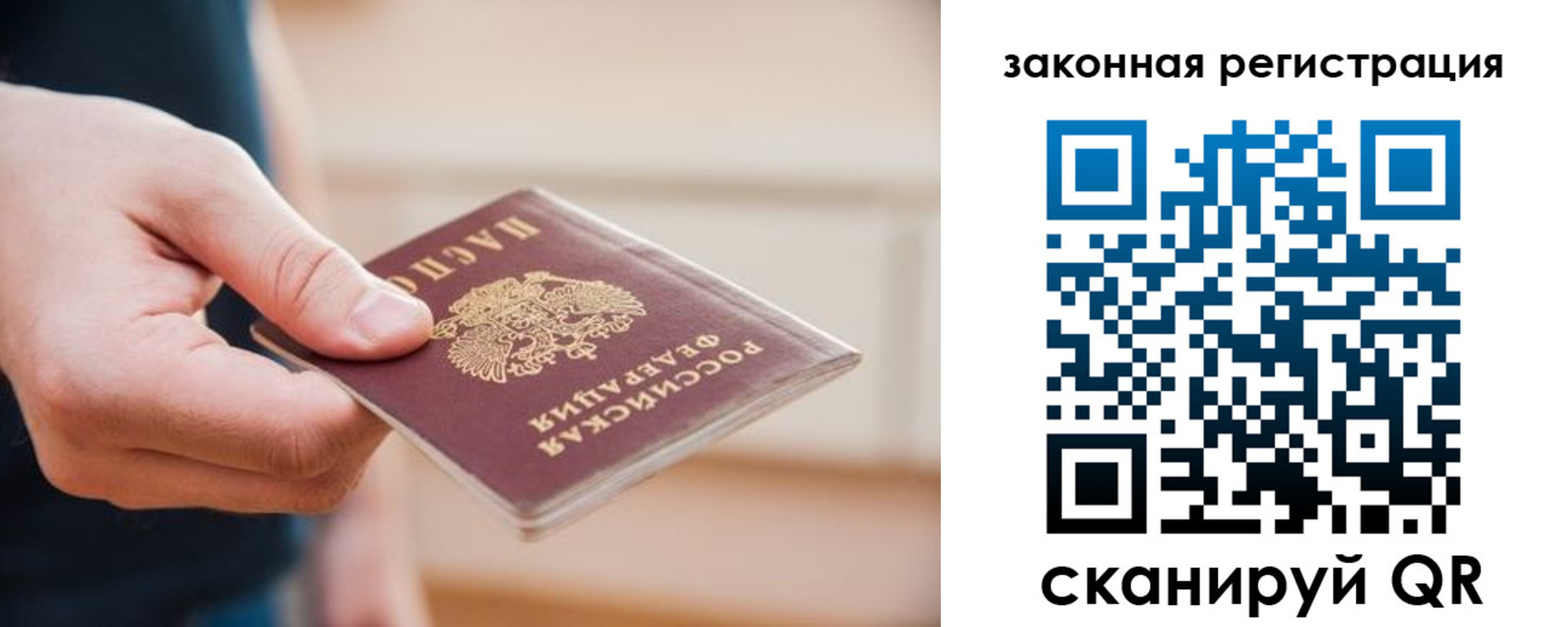 прописка в Ельне
